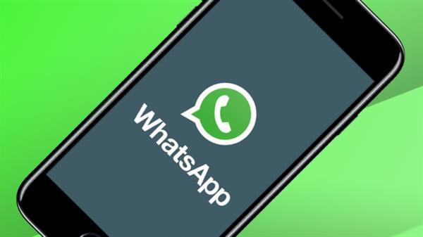 WhatsApp电脑版文件消失？5步找回下载内容
