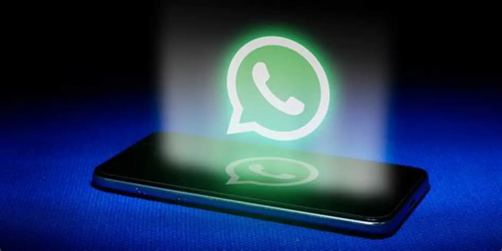 电脑版WhatsApp这样用，消息同步不踩坑